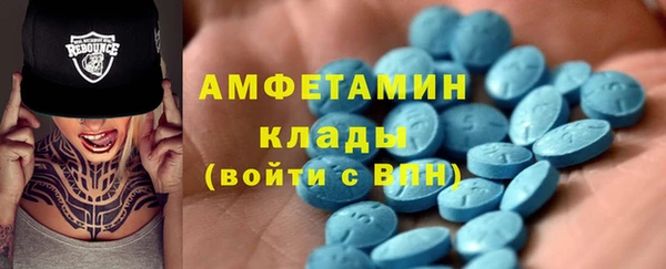 твердый Аркадак