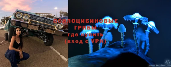кокс Арсеньев