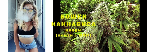 кокс Арсеньев