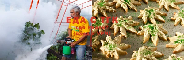 твердый Аркадак